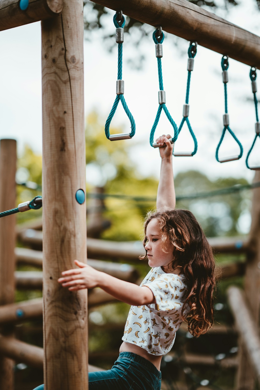 monkey bars.jpg